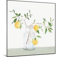 Sweet Lemonade-Isabelle Z-Mounted Art Print