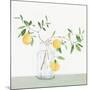 Sweet Lemonade-Isabelle Z-Mounted Art Print