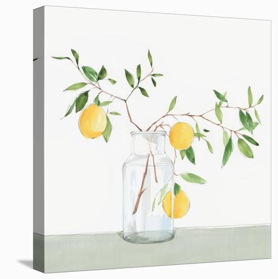 Sweet Lemonade-Isabelle Z-Stretched Canvas