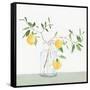 Sweet Lemonade-Isabelle Z-Framed Stretched Canvas