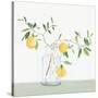 Sweet Lemonade-Isabelle Z-Stretched Canvas