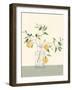 Sweet Lemonade-Isabelle Z-Framed Art Print