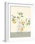 Sweet Lemonade-Isabelle Z-Framed Art Print