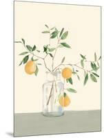 Sweet Lemonade-Isabelle Z-Mounted Art Print