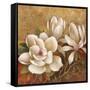 Sweet Magnolia II-Elaine Vollherbst-Lane-Framed Stretched Canvas