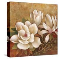 Sweet Magnolia II-Elaine Vollherbst-Lane-Stretched Canvas