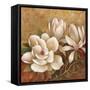 Sweet Magnolia II-Elaine Vollherbst-Lane-Framed Stretched Canvas