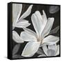Sweet Magnolia-Farrell Douglass-Framed Stretched Canvas