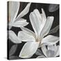 Sweet Magnolia-Farrell Douglass-Stretched Canvas