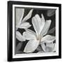 Sweet Magnolia-Farrell Douglass-Framed Giclee Print