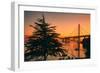 Sweet Morning Light at Oakland Bay Bridge, East Bay-Vincent James-Framed Photographic Print