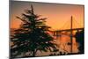 Sweet Morning Light at Oakland Bay Bridge, East Bay-Vincent James-Mounted Photographic Print