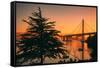 Sweet Morning Light at Oakland Bay Bridge, East Bay-Vincent James-Framed Stretched Canvas