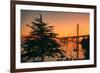 Sweet Morning Light at Oakland Bay Bridge, East Bay-Vincent James-Framed Photographic Print