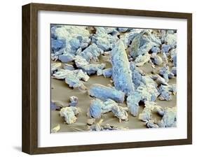 Sweet'N Low Sweetener, SEM-Thomas Deerinck-Framed Photographic Print