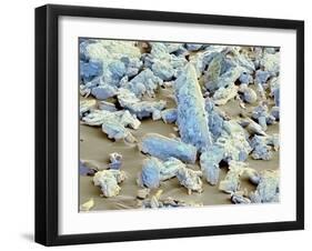 Sweet'N Low Sweetener, SEM-Thomas Deerinck-Framed Photographic Print