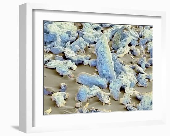 Sweet'N Low Sweetener, SEM-Thomas Deerinck-Framed Photographic Print