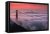 Sweet New Fog City Candy Sky Sunrise Golden Gate Bridge San Francisco-Vincent James-Framed Stretched Canvas