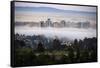 Sweet Oakland Flow, Fog and Soft Mood Downtoen East bay-Vincent James-Framed Stretched Canvas