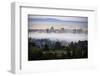 Sweet Oakland Flow, Fog and Soft Mood Downtoen East bay-Vincent James-Framed Premium Photographic Print