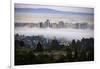 Sweet Oakland Flow, Fog and Soft Mood Downtoen East bay-Vincent James-Framed Photographic Print