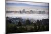 Sweet Oakland Flow, Fog and Soft Mood Downtoen East bay-Vincent James-Mounted Photographic Print