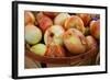 Sweet Onions at a Farmer's in Savannah, Georgia, USA-Joanne Wells-Framed Photographic Print