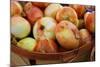 Sweet Onions at a Farmer's in Savannah, Georgia, USA-Joanne Wells-Mounted Photographic Print