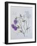 Sweet Pea, 1999-Ruth Hall-Framed Giclee Print