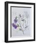 Sweet Pea, 1999-Ruth Hall-Framed Giclee Print