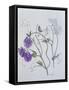 Sweet Pea, 1999-Ruth Hall-Framed Stretched Canvas