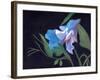 Sweet Pea, 2020 (acrylic on board)-Helen White-Framed Giclee Print