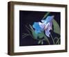 Sweet Pea, 2020 (acrylic on board)-Helen White-Framed Giclee Print