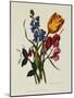 Sweet Pea and Tulip, Sketches of Flowers from Nature-Mary Lawrence-Mounted Giclee Print