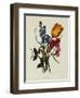 Sweet Pea and Tulip, Sketches of Flowers from Nature-Mary Lawrence-Framed Giclee Print