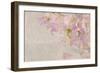 Sweet Pea-Cora Niele-Framed Photographic Print