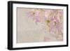 Sweet Pea-Cora Niele-Framed Photographic Print