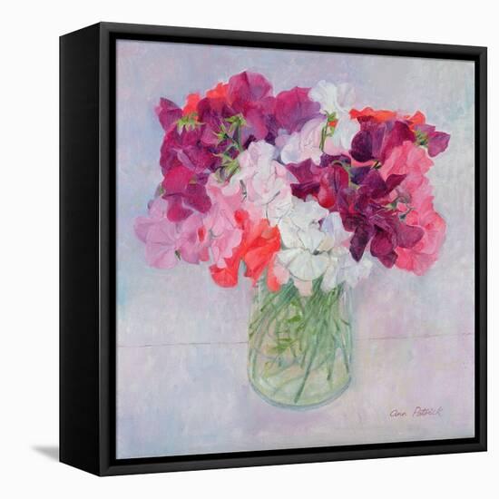 Sweet Peas, 1999-Ann Patrick-Framed Stretched Canvas