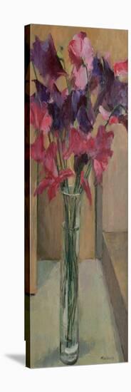 Sweet Peas, 2008-Pat Maclaurin-Stretched Canvas