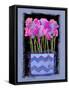 Sweet Peas, 2009-Clive Metcalfe-Framed Stretched Canvas