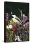 Sweet Peas and Chickadee-William Vanderdasson-Framed Stretched Canvas