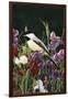 Sweet Peas and Chickadee-William Vanderdasson-Framed Giclee Print