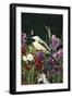 Sweet Peas and Chickadee-William Vanderdasson-Framed Giclee Print