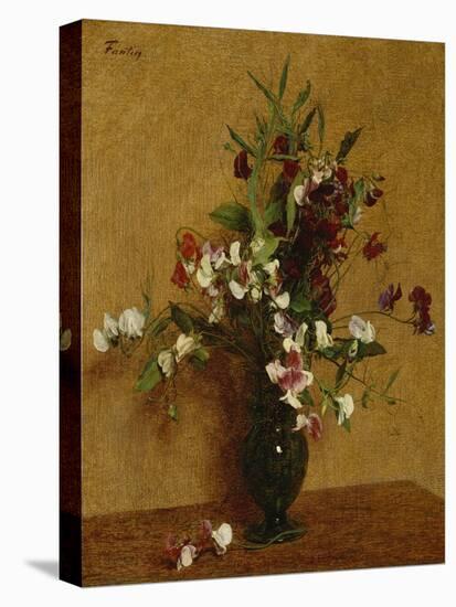 Sweet Peas. Pois de Senteur, 1888-Henri Fantin-Latour-Stretched Canvas