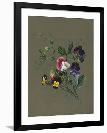 Sweet Peas (Quitro) and Violas, 1830 (W/C and Bodycolour on Paper with a Prepared Ground)-Louise D'Orleans-Framed Giclee Print