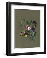 Sweet Peas (Quitro) and Violas, 1830 (W/C and Bodycolour on Paper with a Prepared Ground)-Louise D'Orleans-Framed Giclee Print