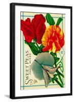 Sweet Peas Seed Packet-Lantern Press-Framed Art Print