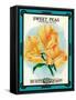 Sweet Peas Seed Packet-Lantern Press-Framed Stretched Canvas