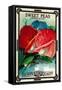 Sweet Peas Seed Packet-Lantern Press-Framed Stretched Canvas