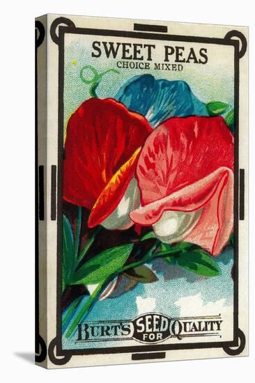 Sweet Peas Seed Packet-Lantern Press-Stretched Canvas